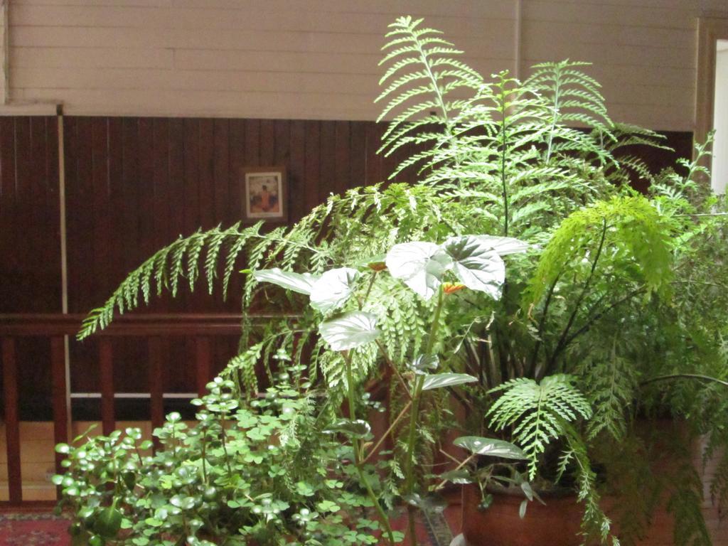 Hostal Patrimonial Angelmo Puerto Montt Eksteriør bilde